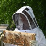 Imkerjacke für sicheres Arbeiten mit Bienen