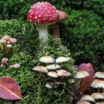 Der therapeutische Nutzen von Pilzen